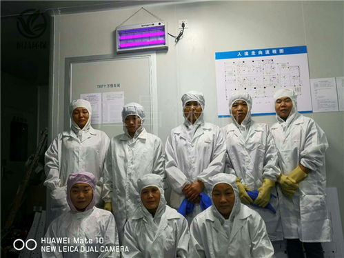 饮料厂十万级洁净房清洁包验收 广州恒昌保洁